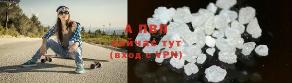мяу мяу мука Белокуриха