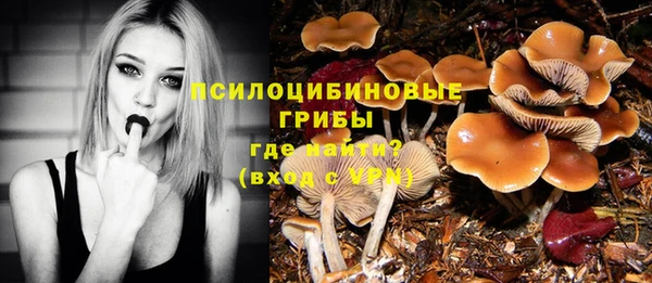 соль ск Белоозёрский