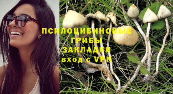 мяу мяу мука Белокуриха